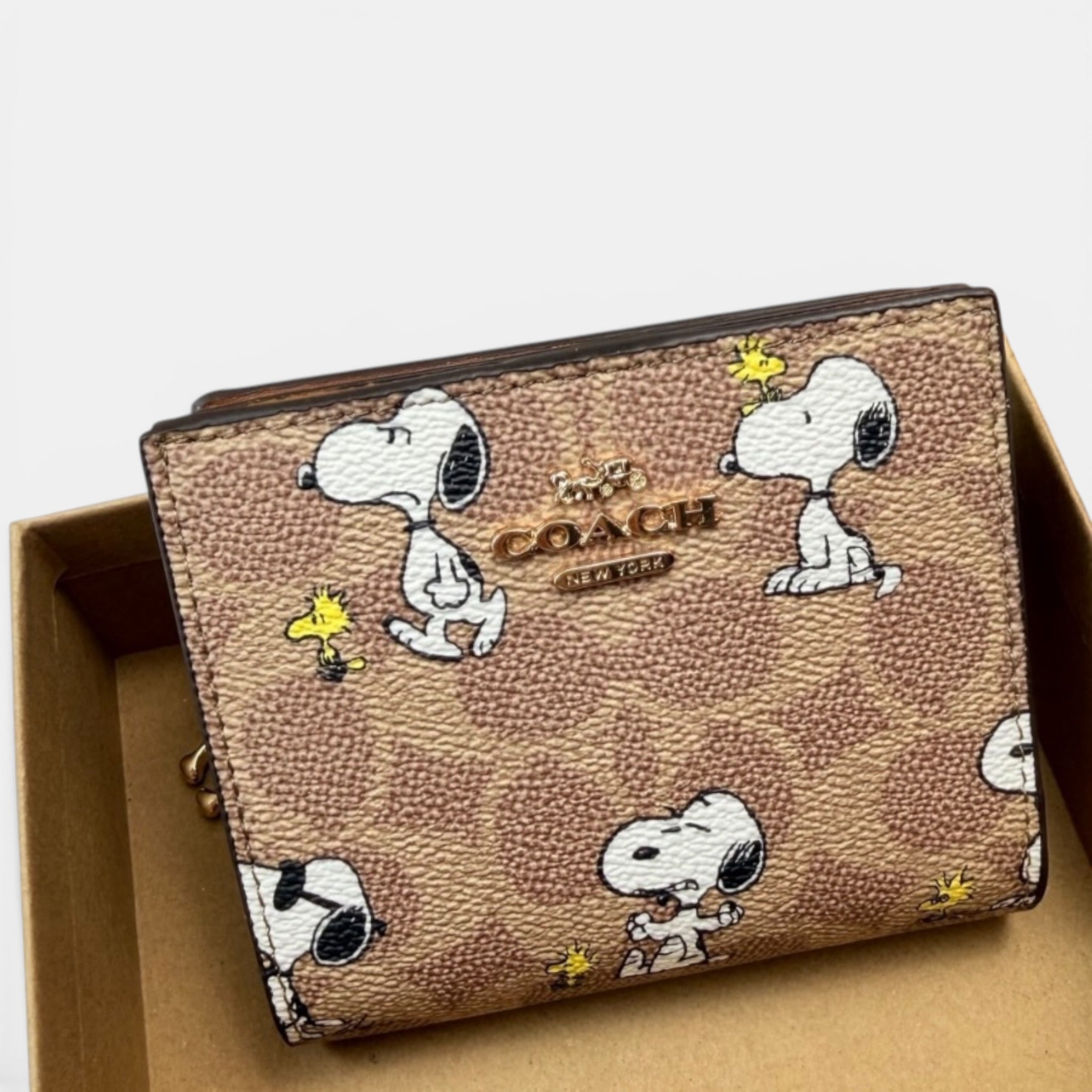 Peanuts Snap Wallet in Signature Canvas