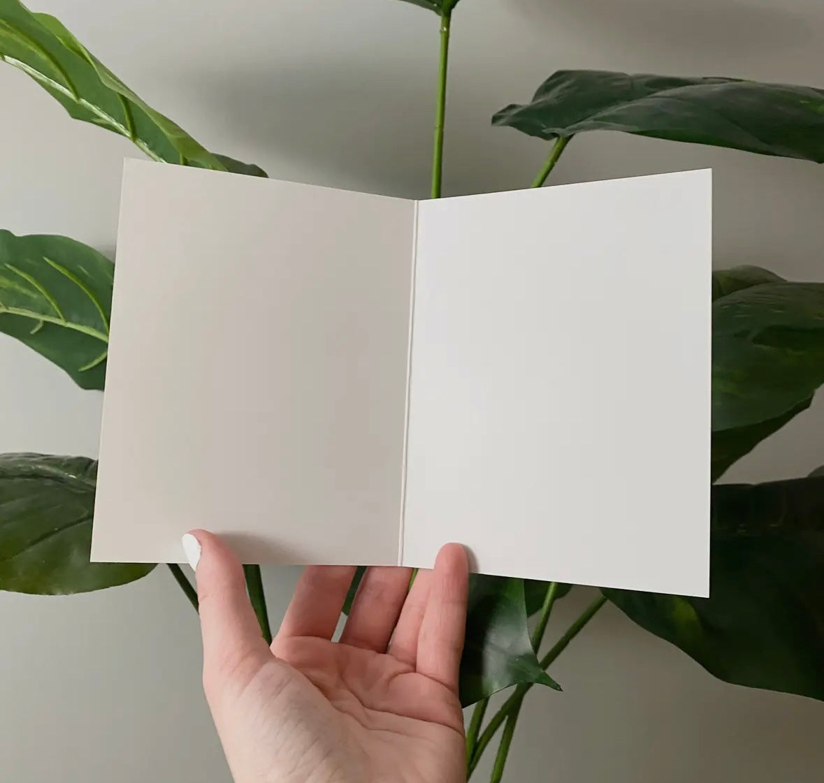 "You're Getting Old, Just Kidding" Birthday Card