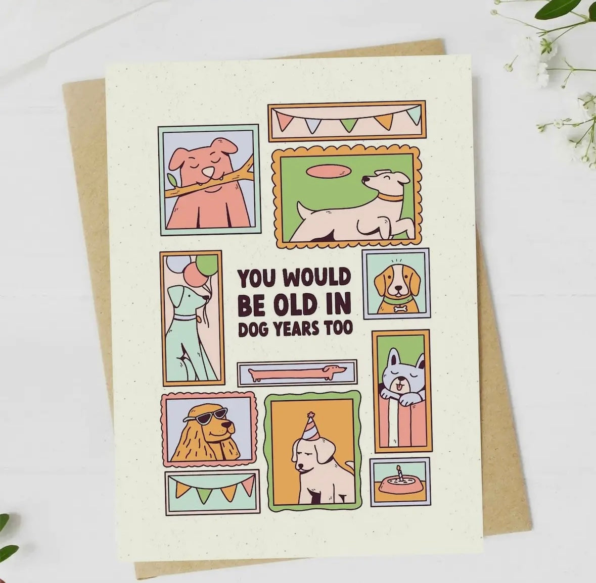 "You Would Be Old in Dog Years Too" Birthday Card