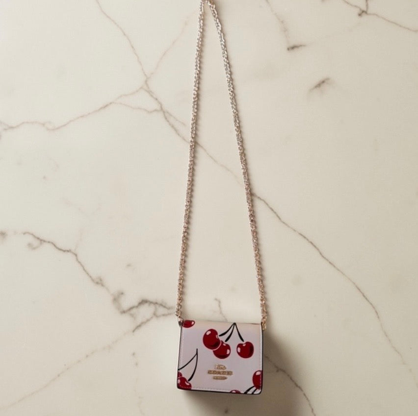 Mini Wallet on a Chain
