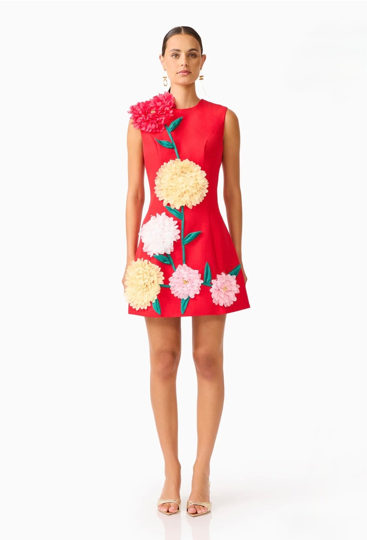 Buttercup Embroidered Mini Dress