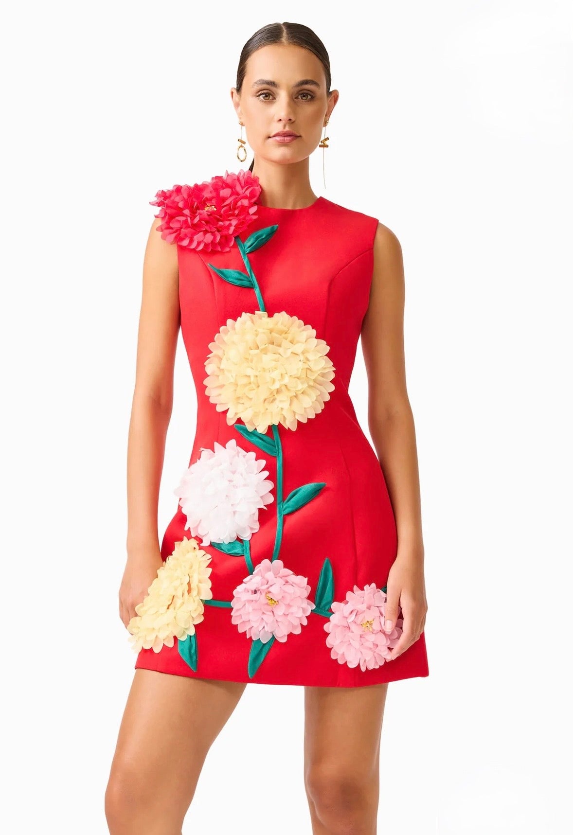 Buttercup Embroidered Mini Dress