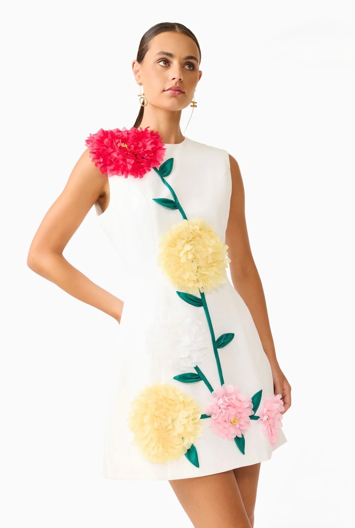 Buttercup Embroidered Mini Dress