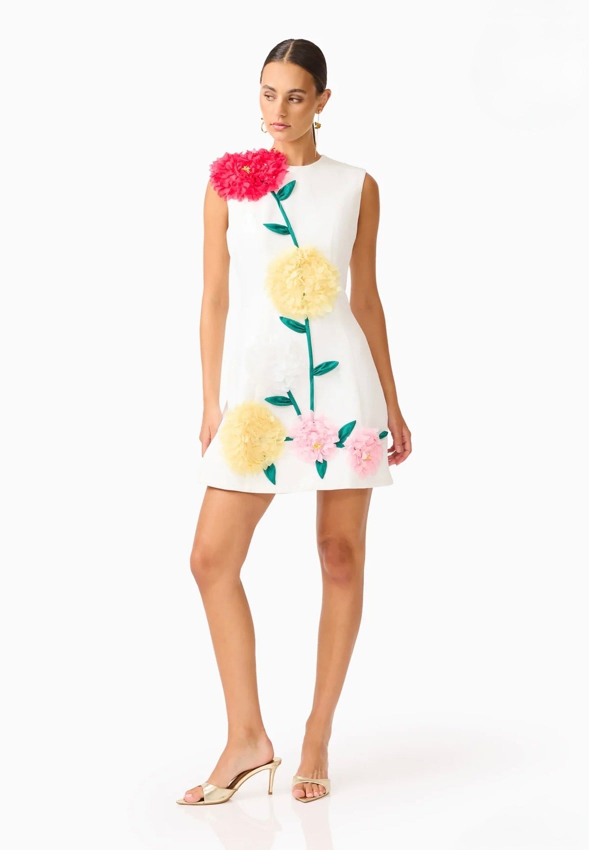 Buttercup Embroidered Mini Dress